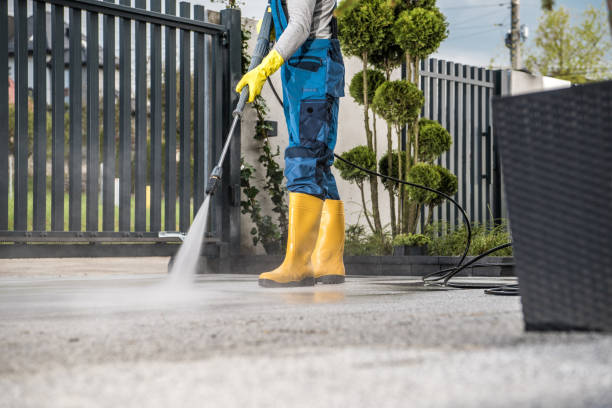 Best House Exterior Washing  in Rio Hondo, TX