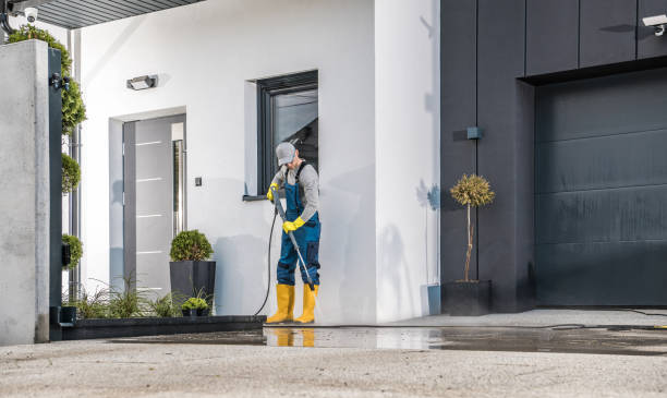 Best House Exterior Washing  in Rio Hondo, TX